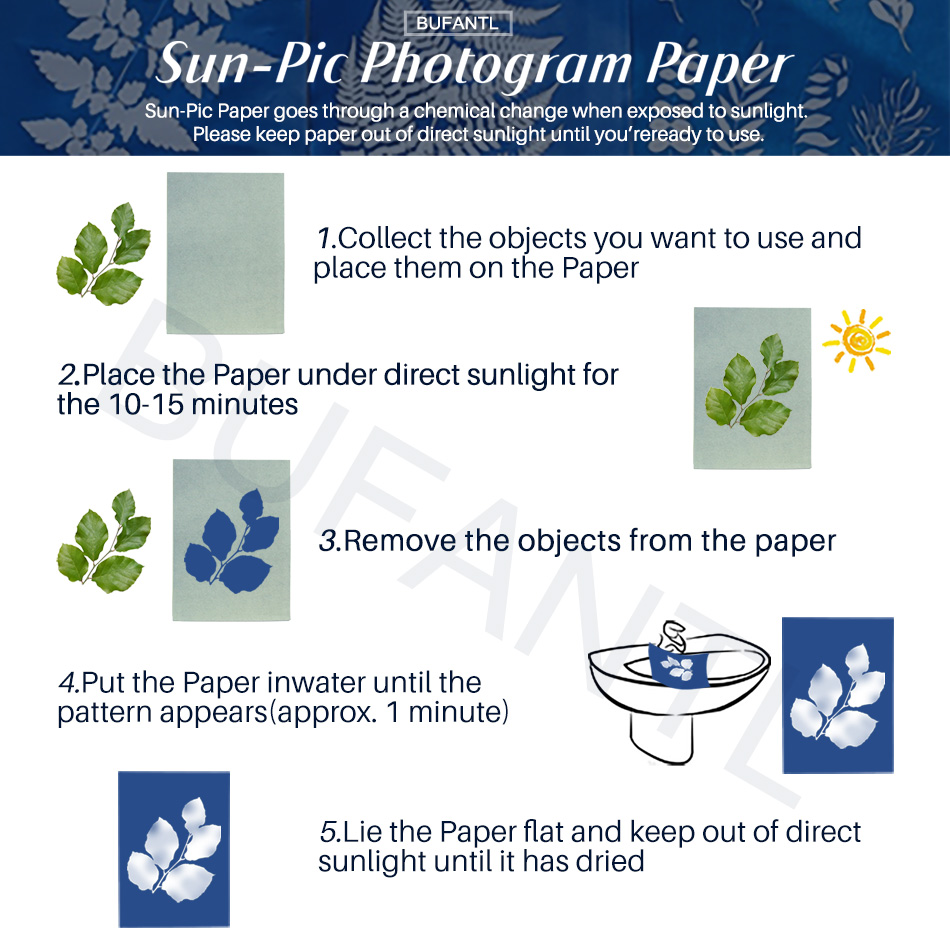 Cyanotype Paper 12 Sheets Refi - Lighting In Photography For Beginners review and price