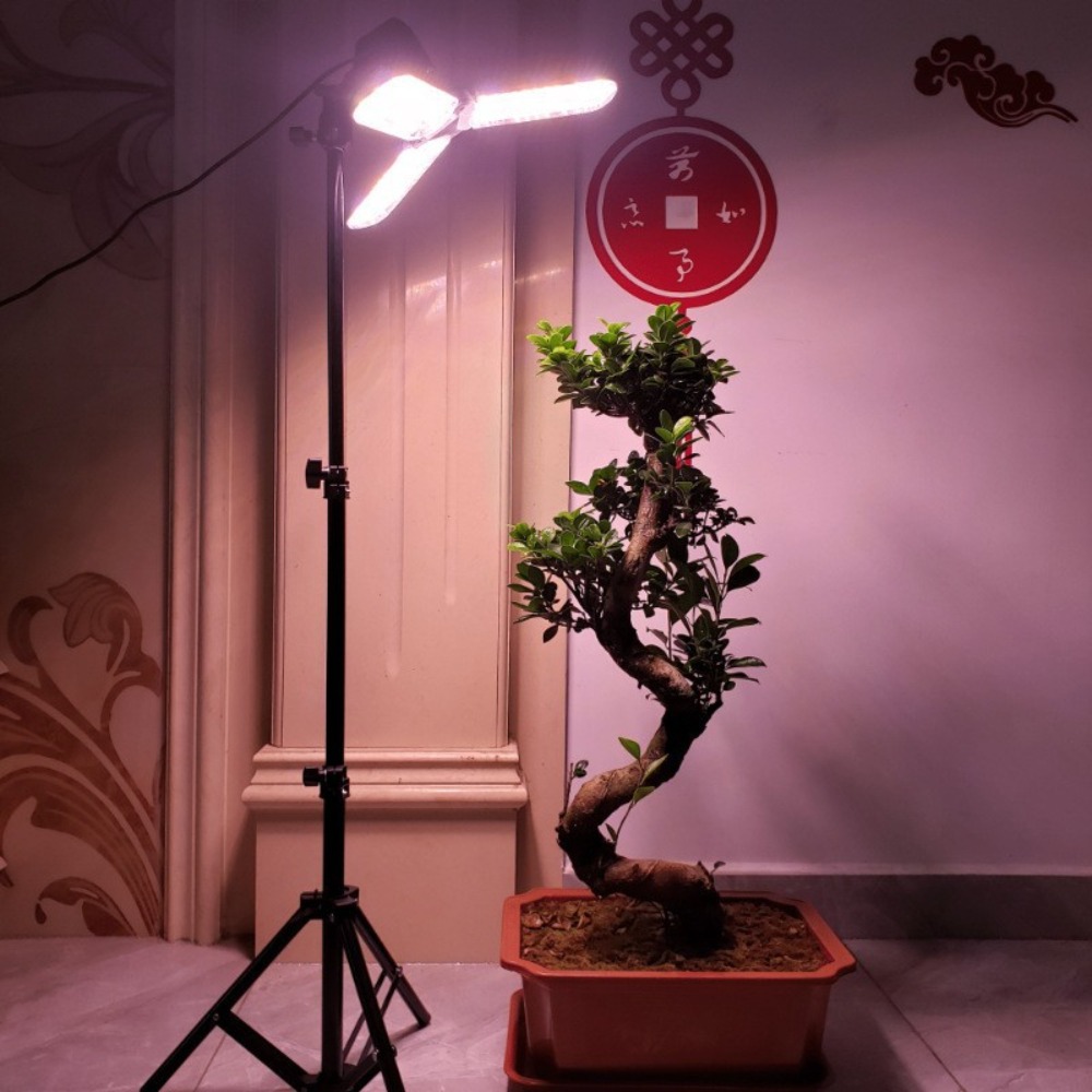 Light Bulb Stand 2M, E27 AC So - Photography Lighting For Studio review and price
