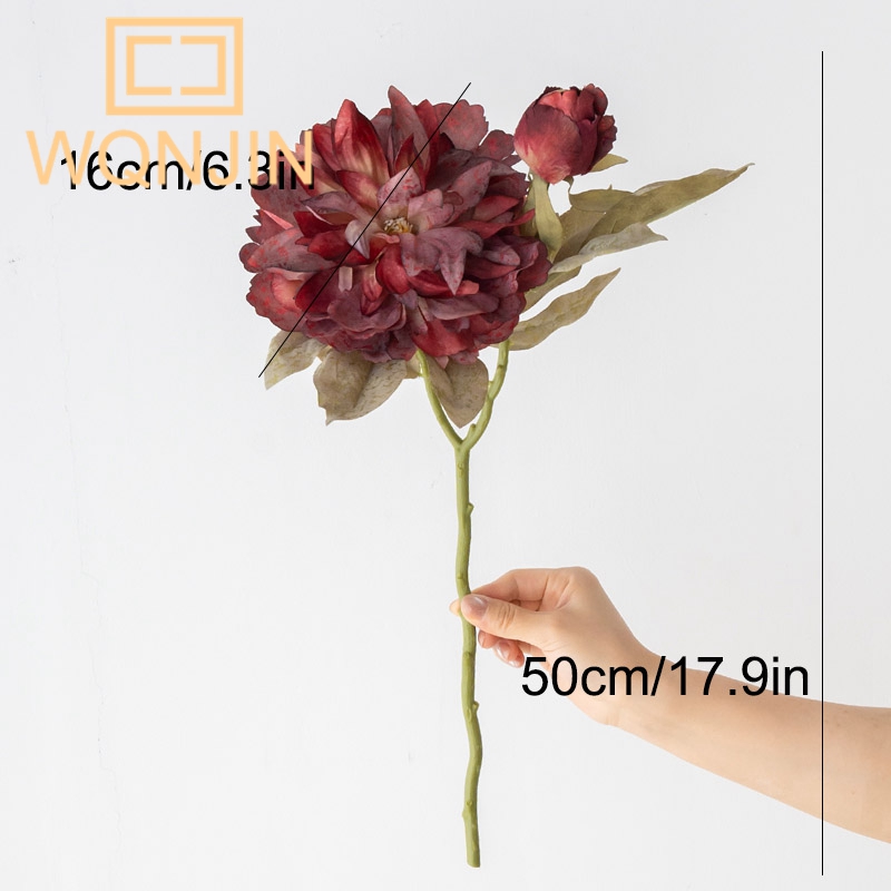 1PC Light Luxury 2 Head Big Pe - Photography Artificial Lighting review and price